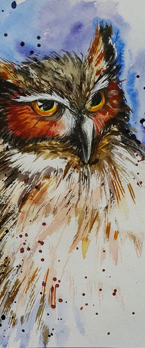 Fiery glance by Anastasia Kozorez
