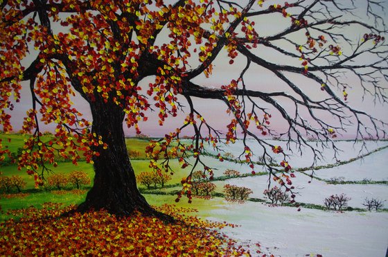 Oak tree in Autumn and Winter