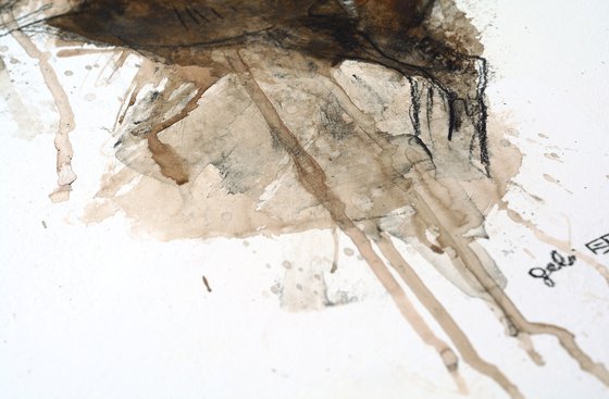Equine Nude 170t