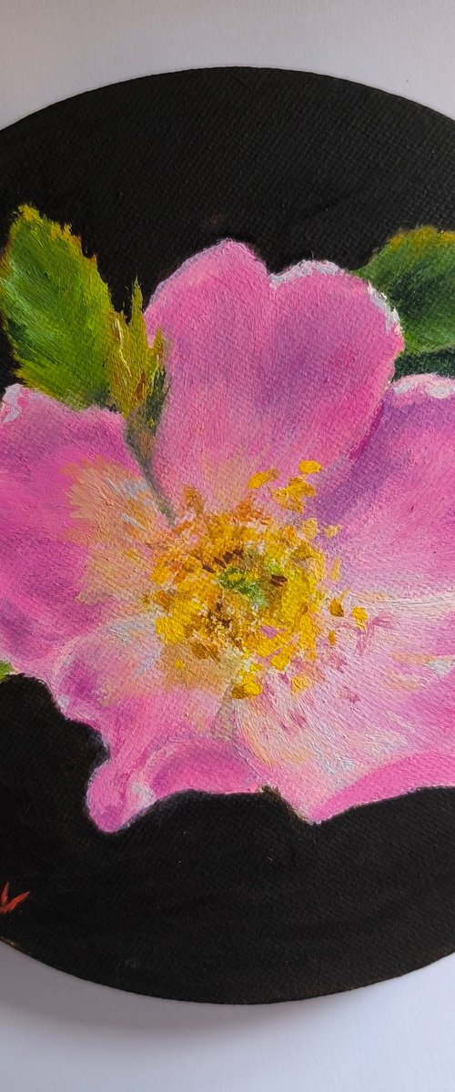 Wild Rose (Rosehip) by Svetlana Grishkovec-Kiisky