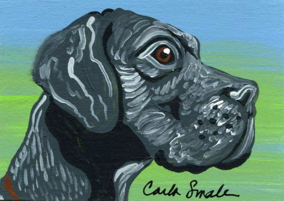 Great Dane