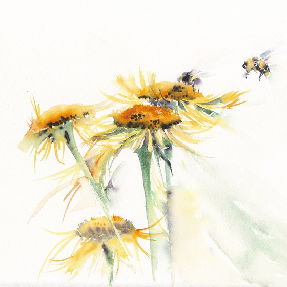 Bees on yellow flowers