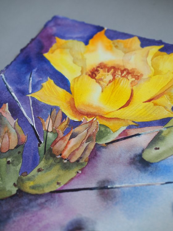 Cacti blossom - yellow flower on violet background, original watercolor