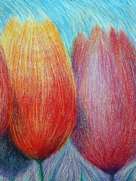 Tulips White 2
