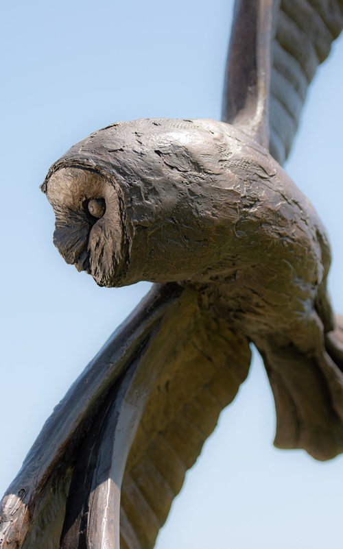 Flying Owl Bronze Resin by Tanya Russell