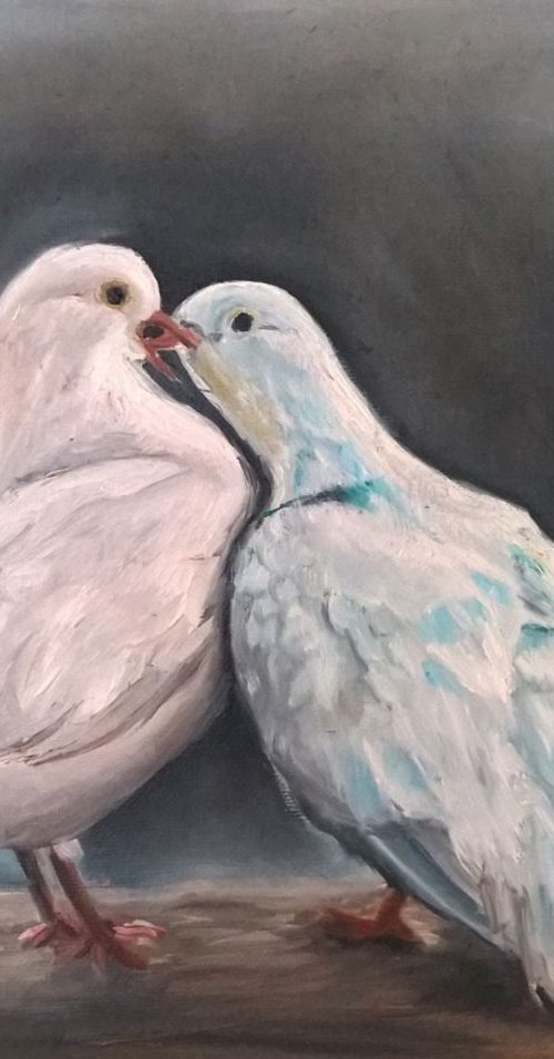 doves by Viktória Déri
