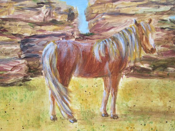 Wild Dartmoor Pony and Tor