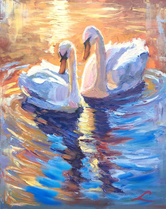 Sunset swans