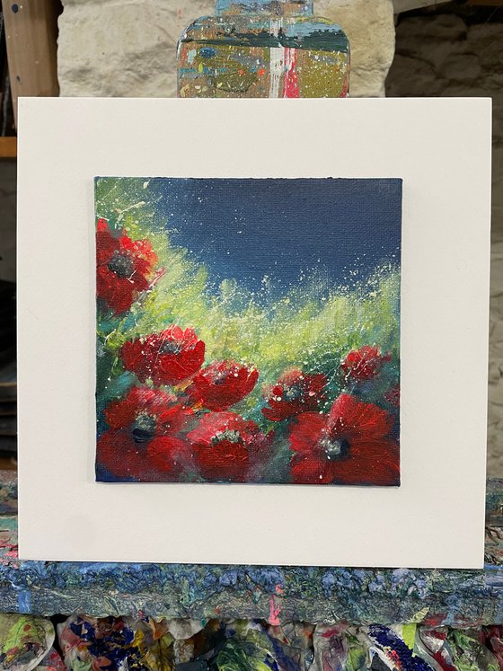 Moonlight Poppies