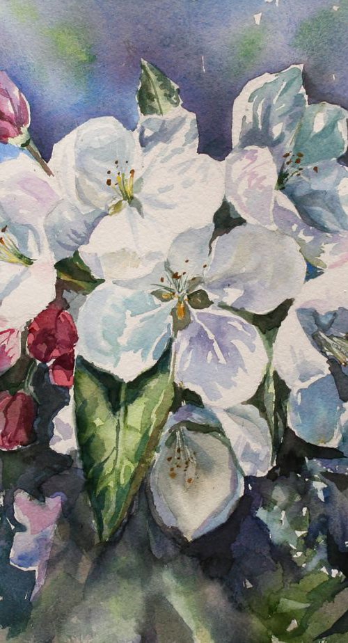 Original watercolor hand painting Apple blossom floral fine art, flowers wall art, wall decor, spring flowering branch, artwork by Alina Shmygol