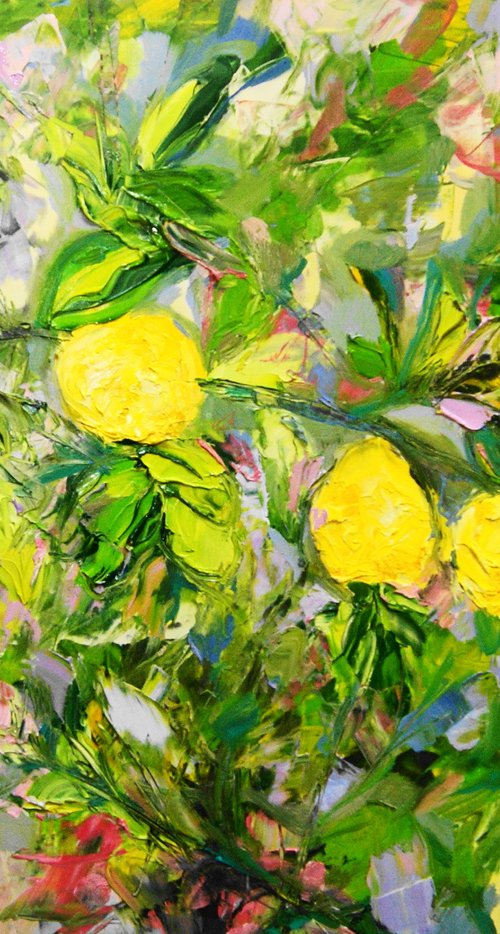 Silician Lemons by Lesley Blackburn