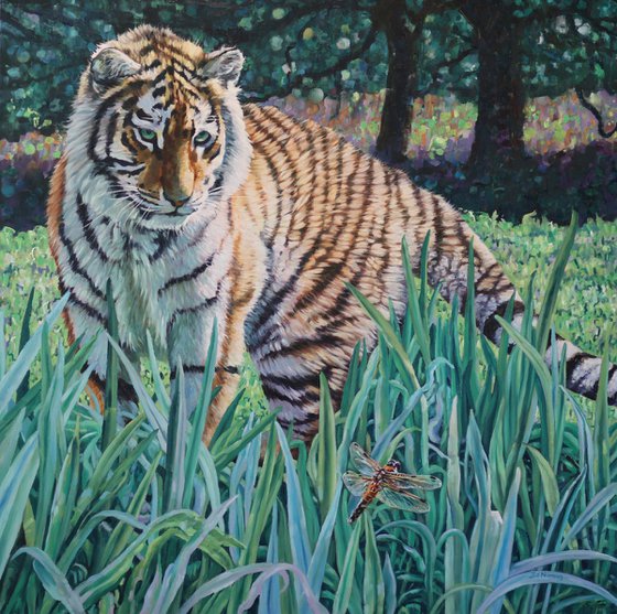 Amur Tiger - First Encounter