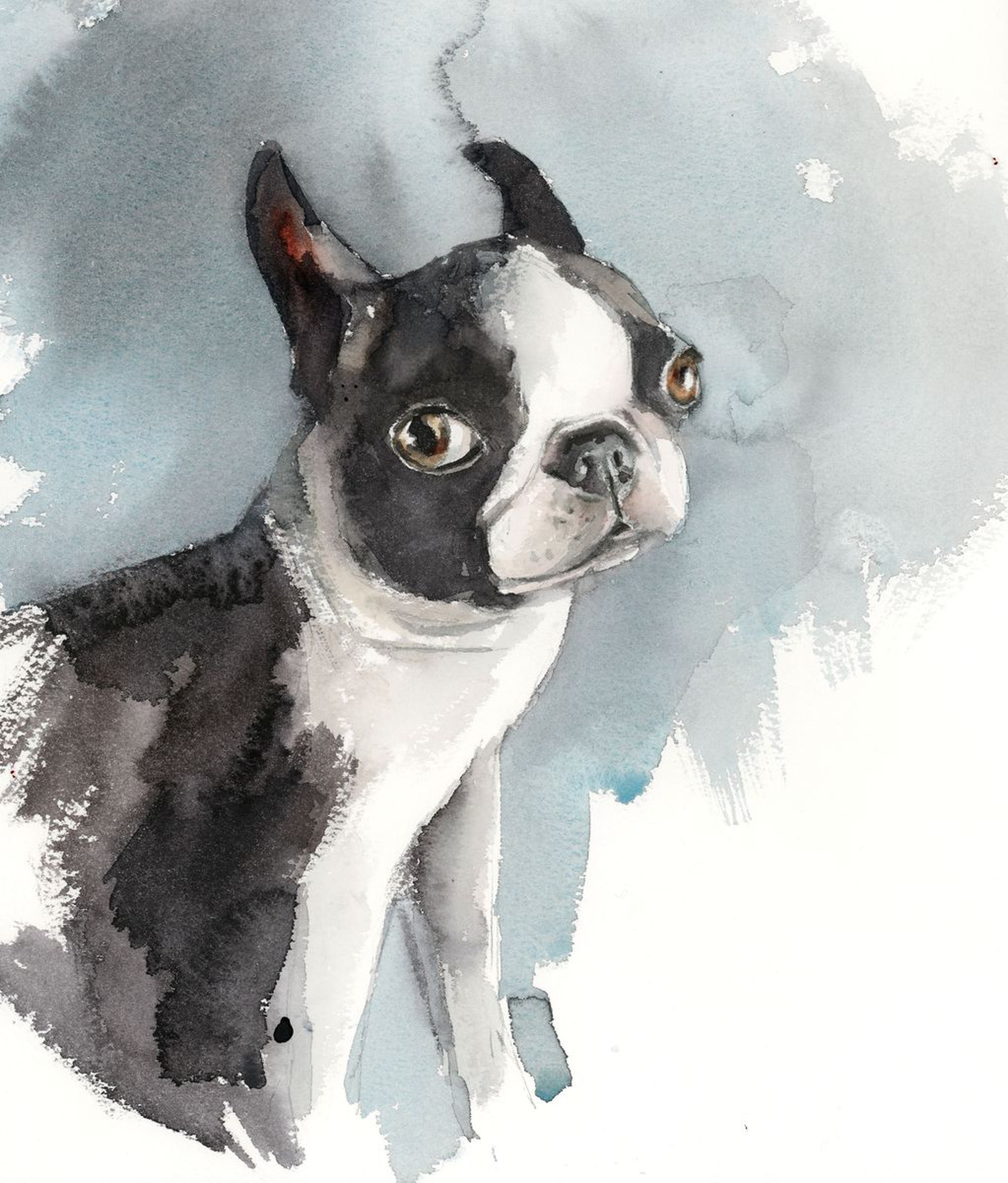 French Bulldog Dog Watercolor Painting Artfinder