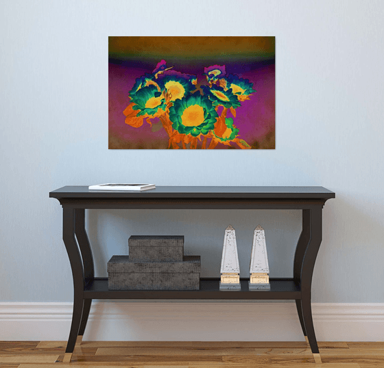 Polarised Sun flora