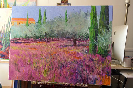 Lavender and Olive Trees