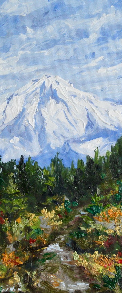 Mount Baker by Liza Illichmann