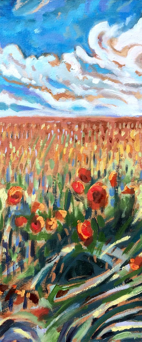 Poppy Field by Guy  Pickford