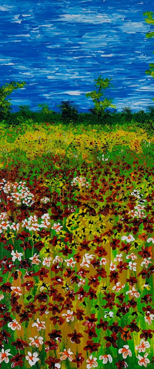 Colored meadow 2 by Daniel Urbaník