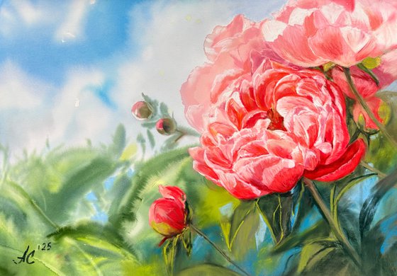 Peonies and Sky