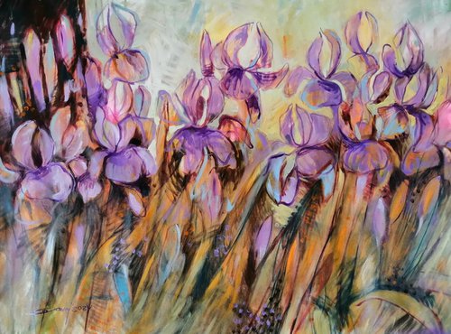 My irises by Olga David