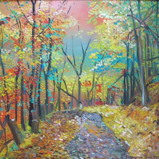 Forest road