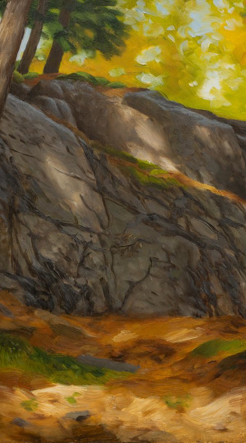 Glacial Boulder by Anthony Galati