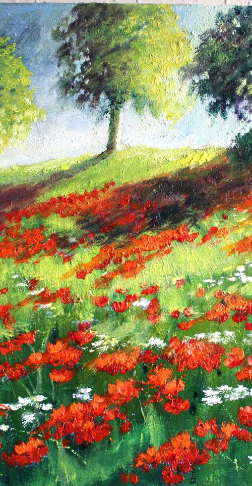 A Smile of Poppies in the Sun by Rod Bere