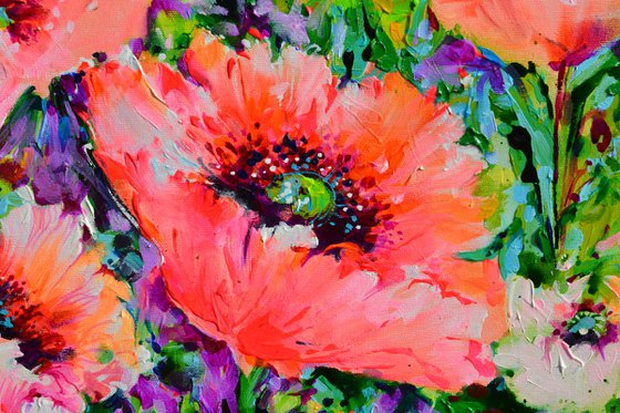 Oriental Poppies - Concert in Pink and Orange