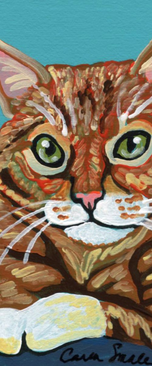 Tabby  Cat by Carla Smale