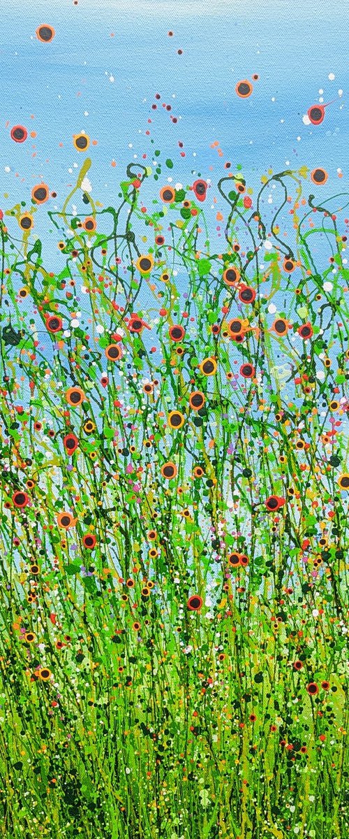 Wild Poppy Meadows #3 by Lucy Moore