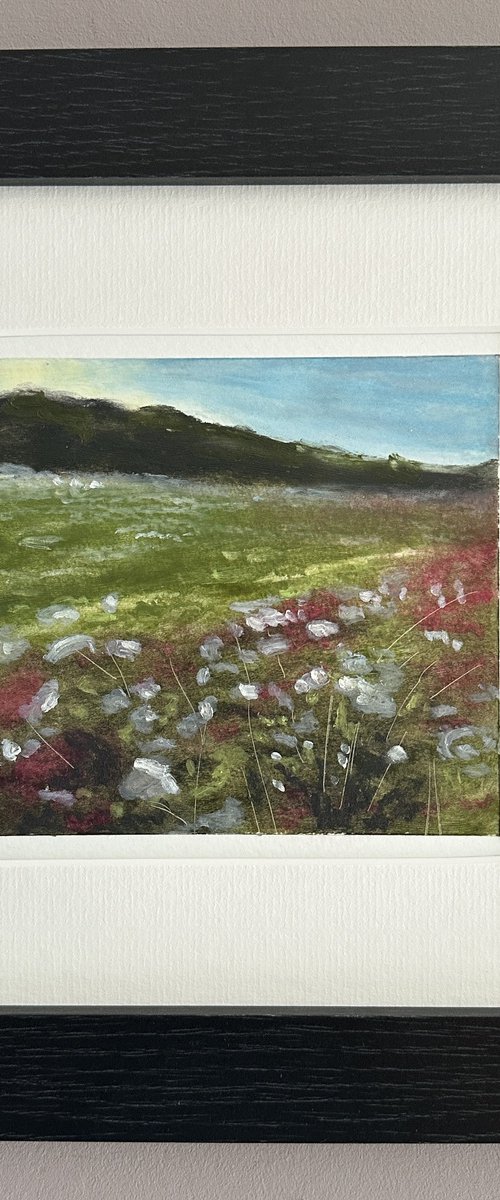 Edge of the Meadow by Kaz  Jones