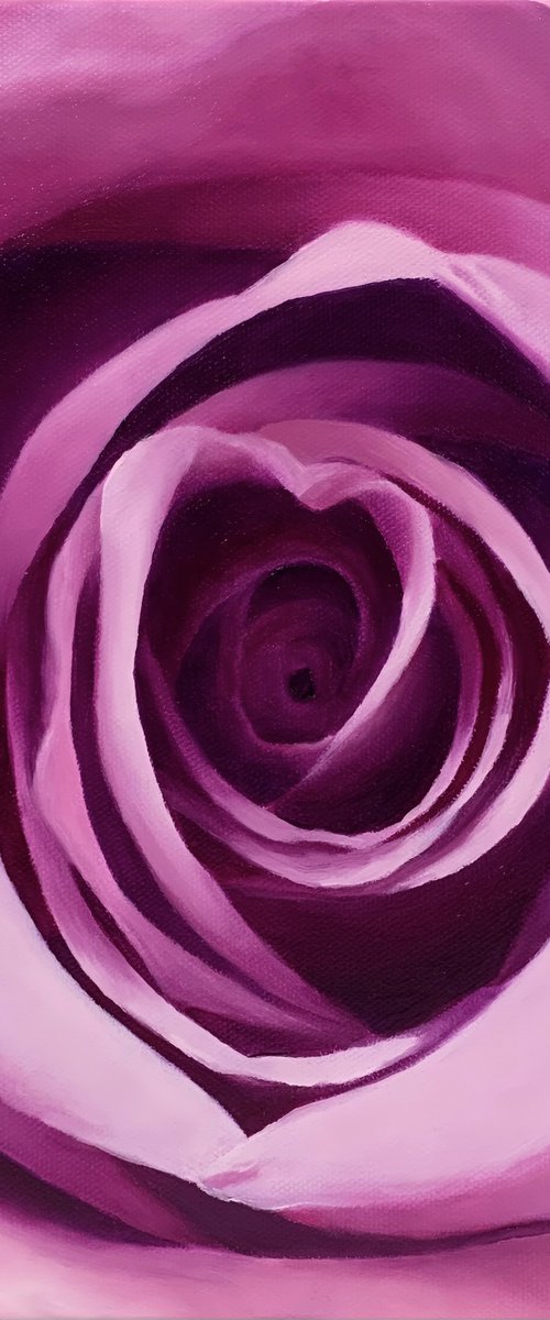 Love. Purple Rose by Alla Kallass