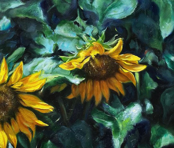 Sunflowers in shadow