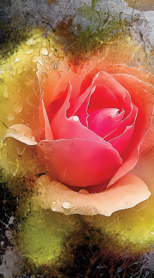 Gotas de lluvia, bicolor 2 by Javier Diaz