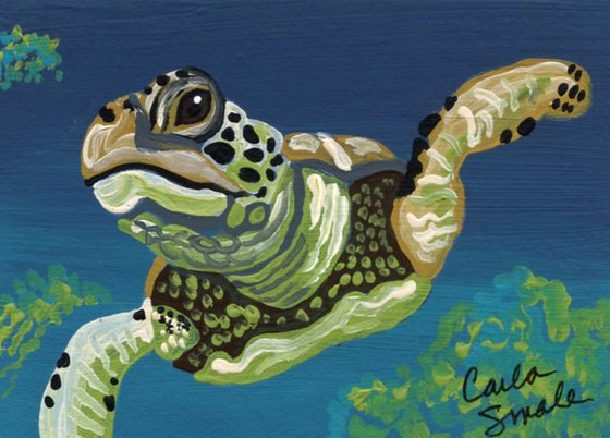 Sea Turtle