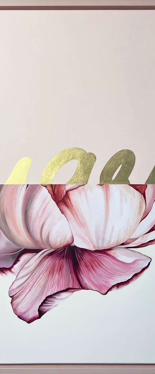Warm Pink Peony by Daisy Emerson