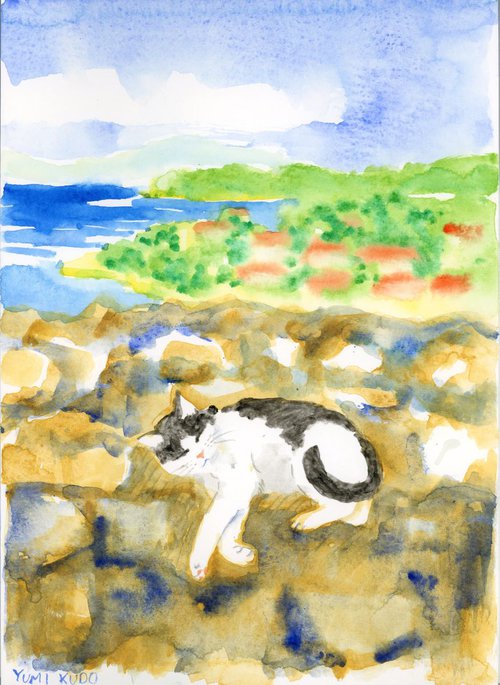 Cat in Corfu by Yumi Kudo
