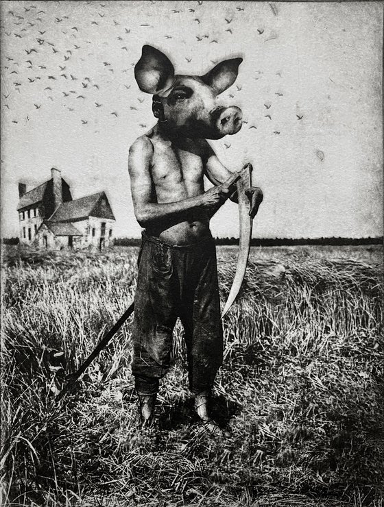 Pig Suite No.10: Wheat Whacker