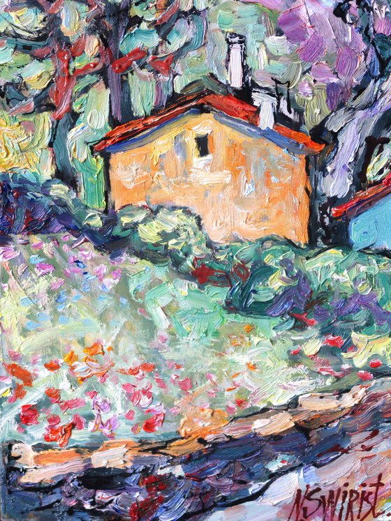 Spring in Languedoc.