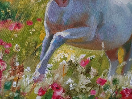 A White Horse Gallops