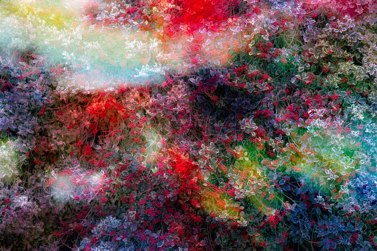 Impressionistic Photograph , The Power Of Dreams By Viet Ha Tran, 25 X 37, Artwork For Sale On Artfinder