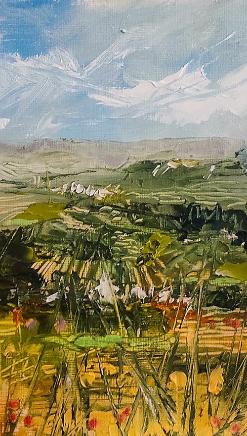Prealpi Lombarde by franco orsi