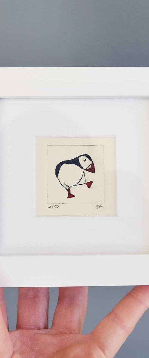Mini framed puffin facing right by Sally Fisher