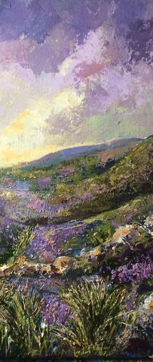 A Day on the Moors by Colette Baumback