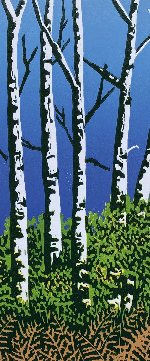 Silver Birch Trees by Shirley Watson