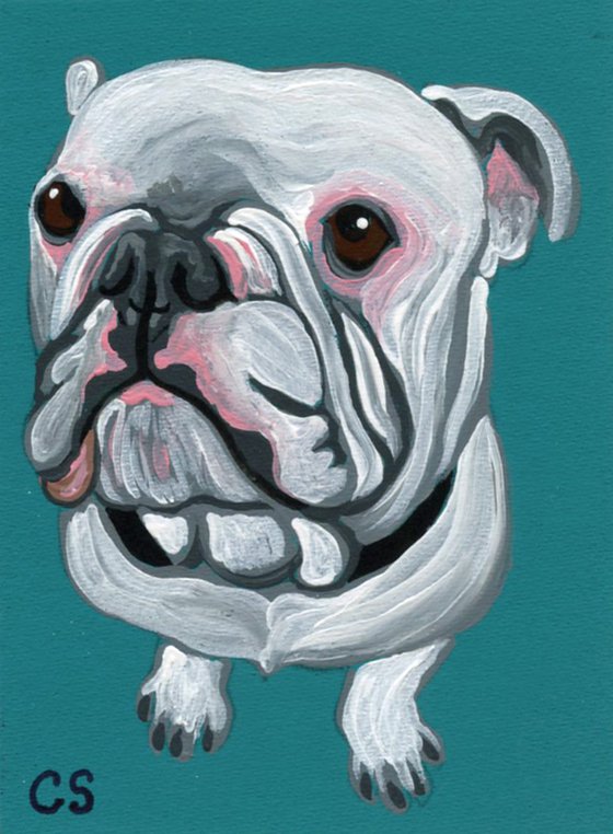 ACEO ATC Original Miniature Painting Olde English Bulldogge  Pet Dog Art-Carla Smale