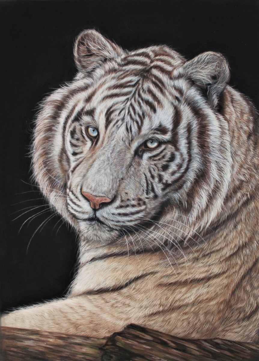 White Tiger by Tatjana Bril