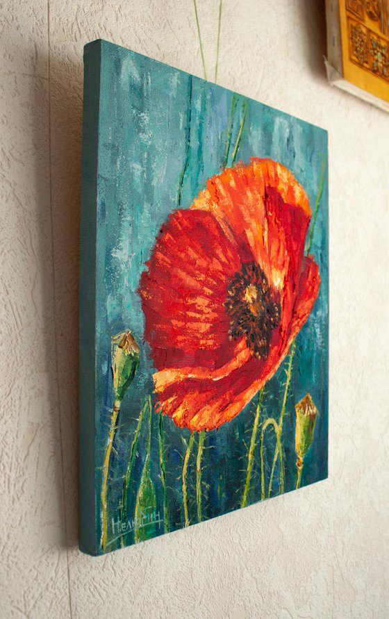 Red poppy