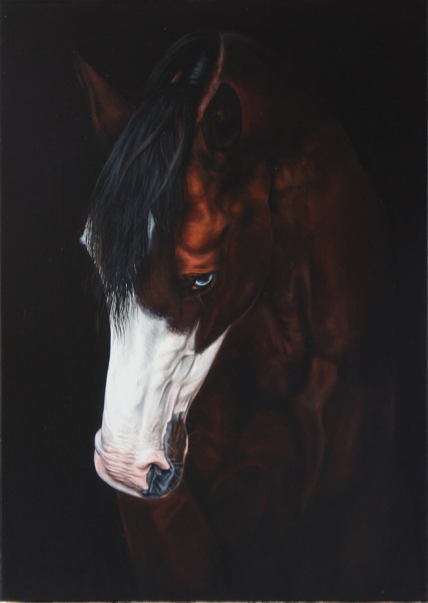 Photorealistic Oil Painting , White Lantern By Marie Madej, 20 X 28, Artwork For Sale On Artfinder