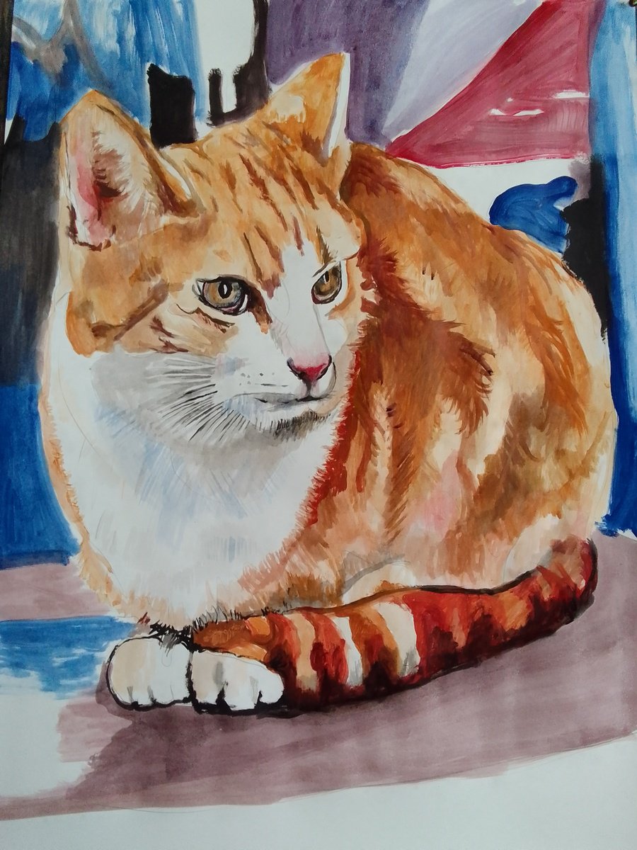Photorealistic Animal Acrylic Painting By Soso Kumsiashvili, 24 X 33", Cat, Original Artwork